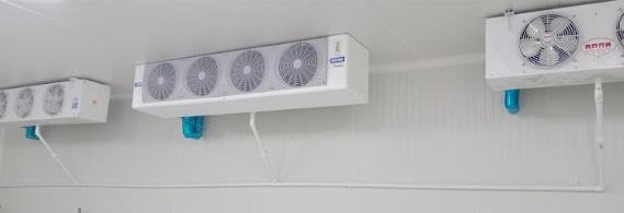 Cuarto frío remodelado en laboratorio clínico